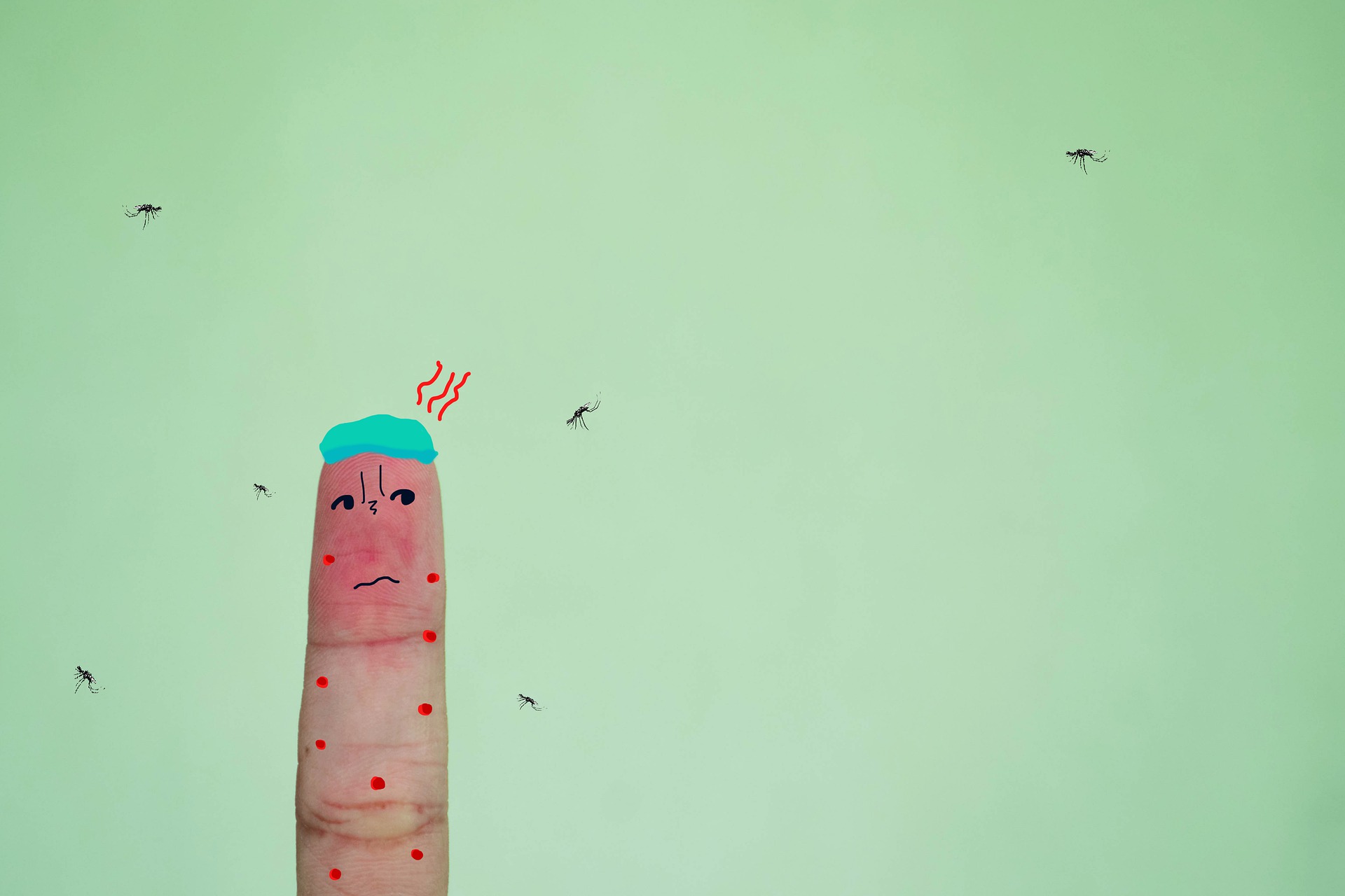 Bzzz, slap! How to treat insect bites (home remedies included) | Philippine Canadian Inquirer - Vimarsana News